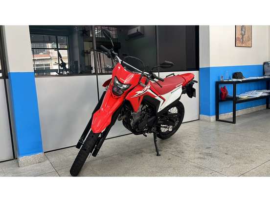 HONDA-XR 300L TORNADO-2025