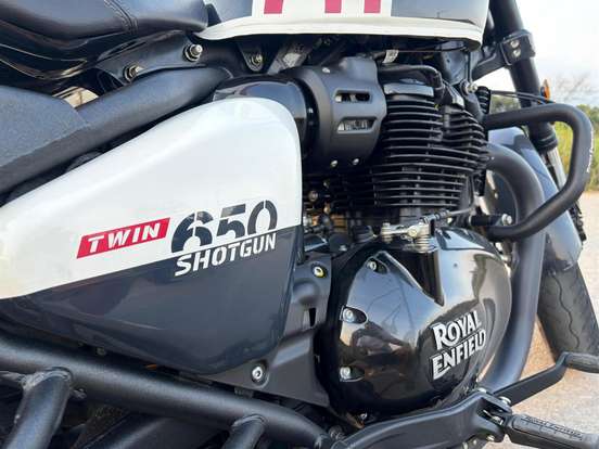 ROYAL ENFIELD-SHOTGUN 650 STENCIL WHITE ROYAL ENFIELD-SHOTGUN 650 STENCIL WHITE-2025