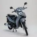 SHINERAY RIO 125 SHINERAY RIO 125