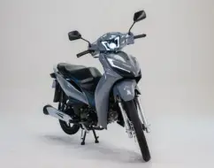 SHINERAY RIO 125 SHINERAY RIO 125