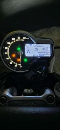 TRIUMPH-SCRAMBLER 400 X TRIUMPH-SCRAMBLER 400 X-2024