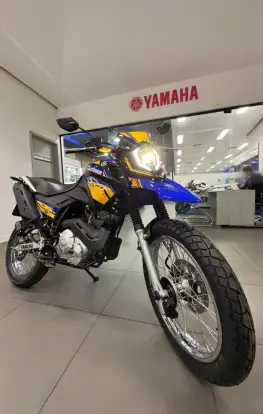 YAMAHA-XTZ 150 CROSSER Z WOLVERINE-2027