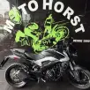 BAJAJ DOMINAR 250 BAJAJ DOMINAR 250