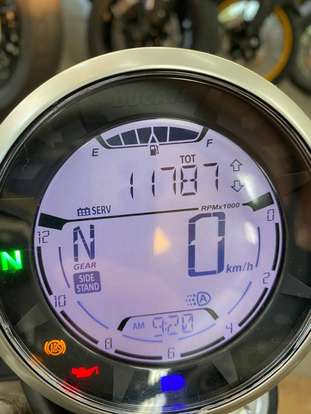 DUCATI-SCRAMBLER ICON-2022
