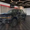 FORD F-150 5.0 V8 GASOLINA CD TREMOR FX4 AUTOMÁTICO FORD F-150 5.0 V8 GASOLINA CD TREMOR FX4 AUTOMÁTICO