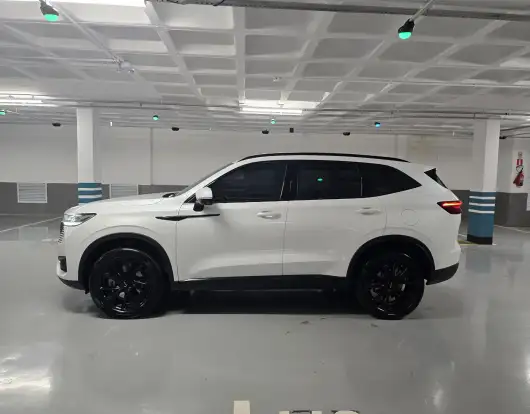 GWM-HAVAL H6-1.5 HEV PREMIUM E-TRACTION GWM-HAVAL H6-2024