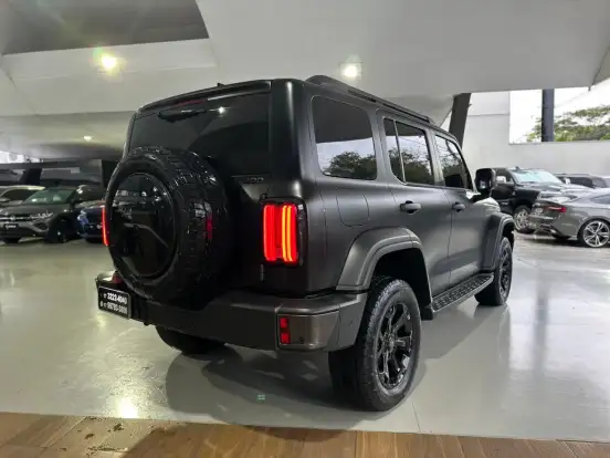 GWM-TANK 300-2025