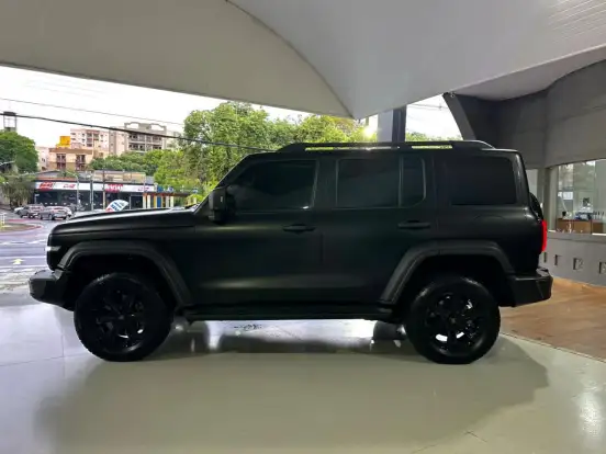 GWM-TANK 300-2025