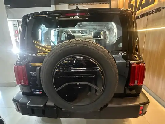 GWM-TANK 300-2.0 HI4-T PHEV FLEX 4X4 9HAT GWM-TANK 300-2026