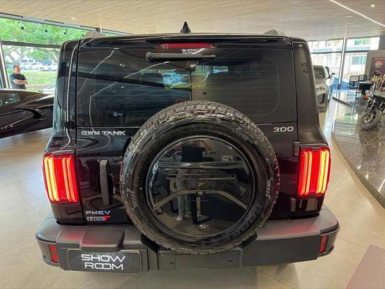 GWM-TANK 300-2025