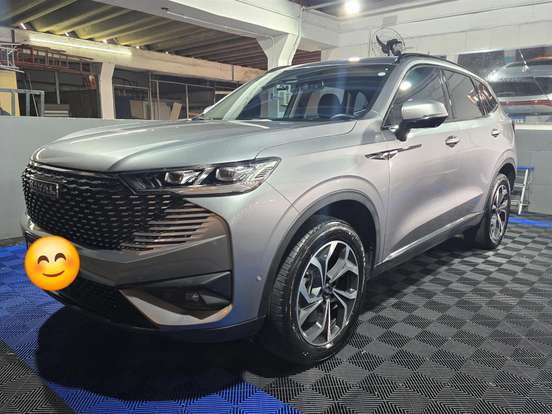 GWM-HAVAL H6-1.5 PHEV34 AWD E-TRACTION GWM-HAVAL H6-2024