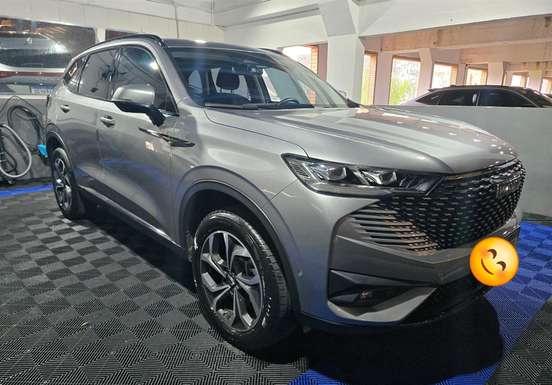 GWM-HAVAL H6-1.5 PHEV34 AWD E-TRACTION GWM-HAVAL H6-2024