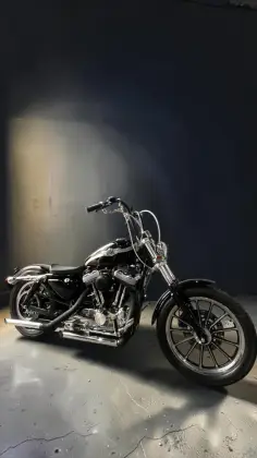 HARLEY-DAVIDSON SPORTSTER XL 883 CUSTOM 