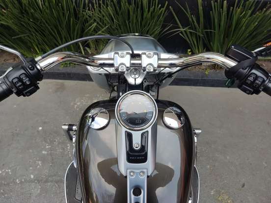 HARLEY-DAVIDSON-SOFTAIL FAT BOY-2020