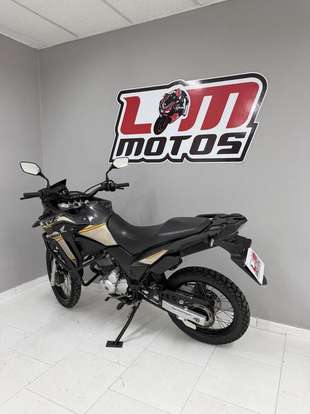 HONDA-XRE 300 ADVENTURE-2022
