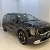 KIA CARNIVAL 3.5 V6 GASOLINA EX AUTOMATICO KIA CARNIVAL 3.5 V6 GASOLINA EX AUTOMATICO