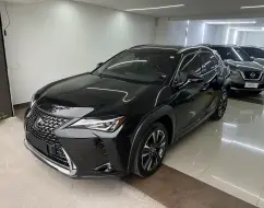 LEXUS UX 250h 2.0 VVT-I HYBRID DYNAMIC CVT LEXUS UX 250h 2.0 VVT-I HYBRID DYNAMIC CVT