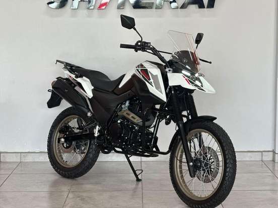 SHINERAY-SHI 175-2026