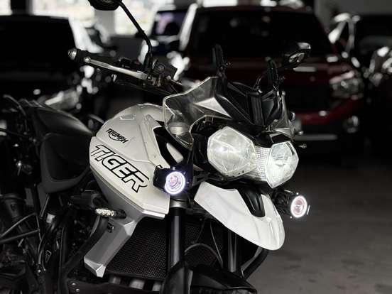 TRIUMPH-TIGER 800 XCX-2019