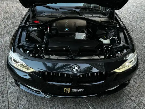 BMW-320i-2014