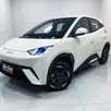 BYD DOLPHIN MINI 38 KW ELÉTRICO GS BYD DOLPHIN MINI 38 KW ELÉTRICO GS