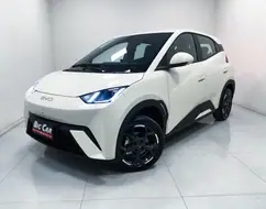 BYD DOLPHIN MINI 38 KW ELÉTRICO GS BYD DOLPHIN MINI 38 KW ELÉTRICO GS