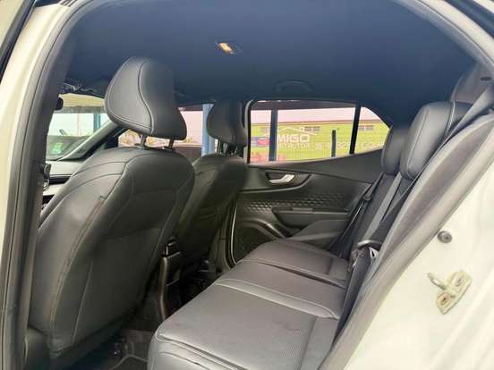 FIAT-PULSE-2022