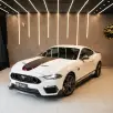 FORD MUSTANG 5.0 V8 TI-VCT GASOLINA MACH 1 SELECTSHIFT FORD MUSTANG 5.0 V8 TI-VCT GASOLINA MACH 1 SELECTSHIFT