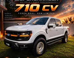 FORD F-150 5.0 V8 GASOLINA CD TREMOR FX4 AUTOMÁTICO FORD F-150 5.0 V8 GASOLINA CD TREMOR FX4 AUTOMÁTICO