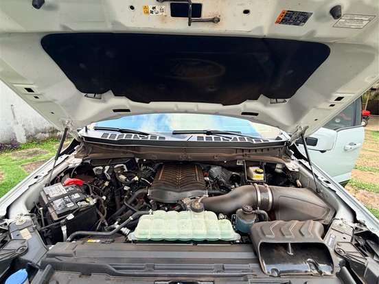 FORD-F-150-5.0 V8 GASOLINA CD TREMOR FX4 AUTOMÁTICO FORD-F-150-2025