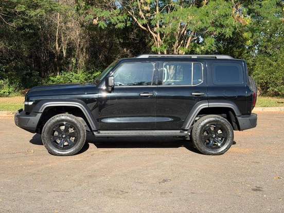 GWM-TANK 300-2.0 HI4-T PHEV 4X4 9HAT GWM-TANK 300-2025