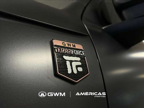 GWM-TANK 300-2026