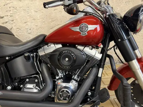 HARLEY-DAVIDSON-FAT BOY FLSTF HARLEY-DAVIDSON-FAT BOY FLSTF-2012