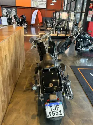 HARLEY-DAVIDSON-SOFTAIL FAT BOY 114-2024
