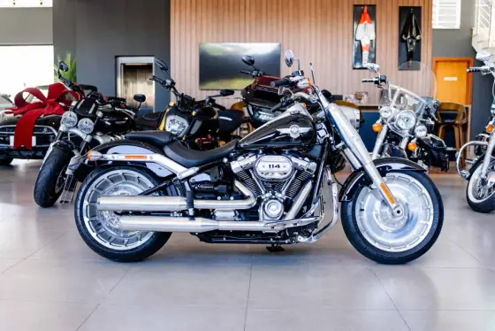 HARLEY-DAVIDSON SOFTAIL FAT BOY 114 