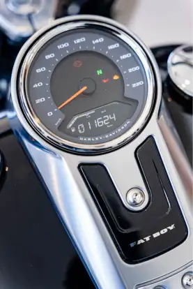 HARLEY-DAVIDSON-SOFTAIL FAT BOY 114-2018