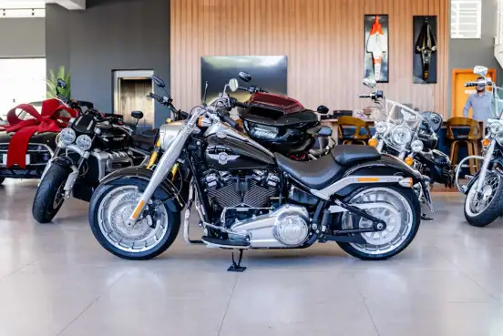 HARLEY-DAVIDSON-SOFTAIL FAT BOY 114-2018
