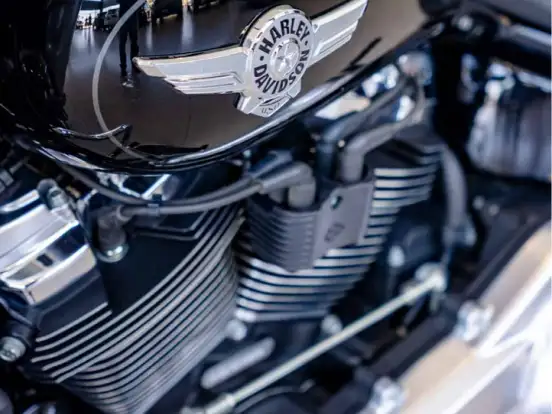 HARLEY-DAVIDSON-SOFTAIL FAT BOY 114 HARLEY-DAVIDSON-SOFTAIL FAT BOY 114-2018