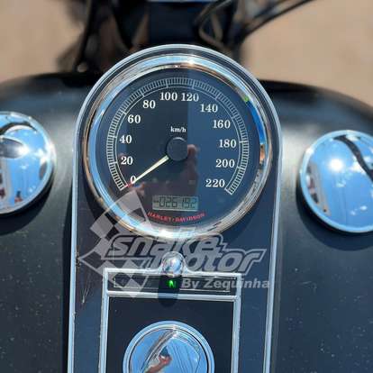 HARLEY-DAVIDSON-SOFTAIL FAT BOY SPECIAL-2015
