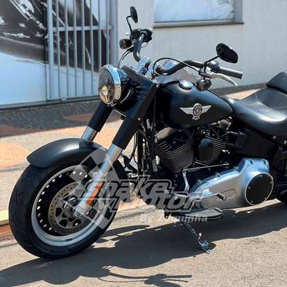 HARLEY-DAVIDSON-SOFTAIL FAT BOY SPECIAL-2015