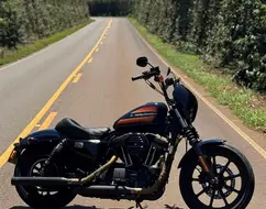 HARLEY-DAVIDSON SPORTSTER IRON 1200 HARLEY-DAVIDSON SPORTSTER IRON 1200