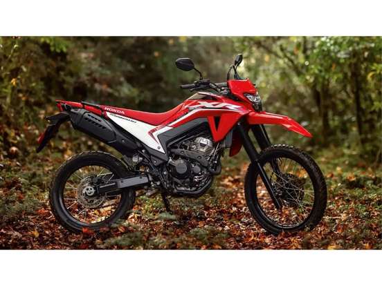 HONDA-XR 300L TORNADO-2026