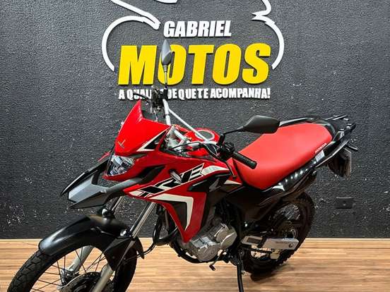 HONDA-XRE 300 RALLY HONDA-XRE 300 RALLY-2021