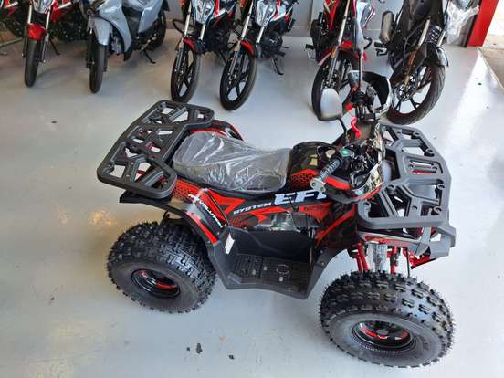 SHINERAY-ATV 125 SHINERAY-ATV 125-2025