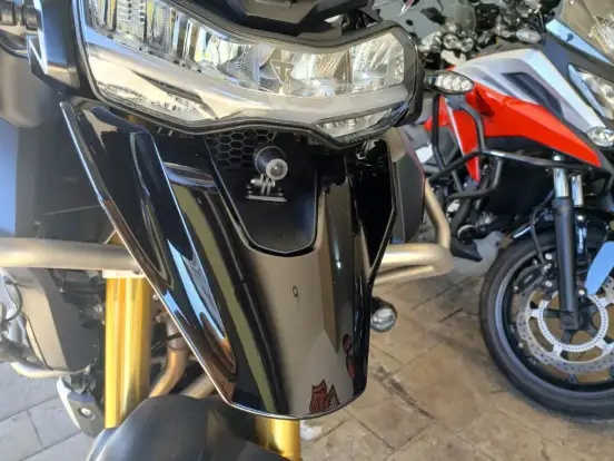 TRIUMPH-TIGER 1200 RALLY EXPLORER-2025