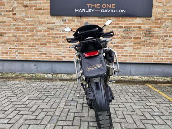 TRIUMPH-TIGER 1200 RALLY PRO-2022