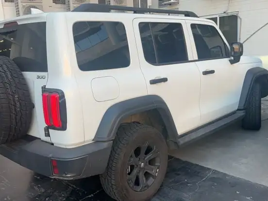 GWM-TANK 300-2.0 HI4-T PHEV 4X4 9HAT GWM-TANK 300-2025