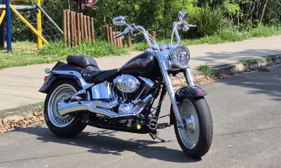 HARLEY-DAVIDSON FAT BOY FLSTF 