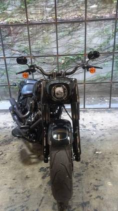 HARLEY-DAVIDSON SOFTAIL FAT BOY 114 