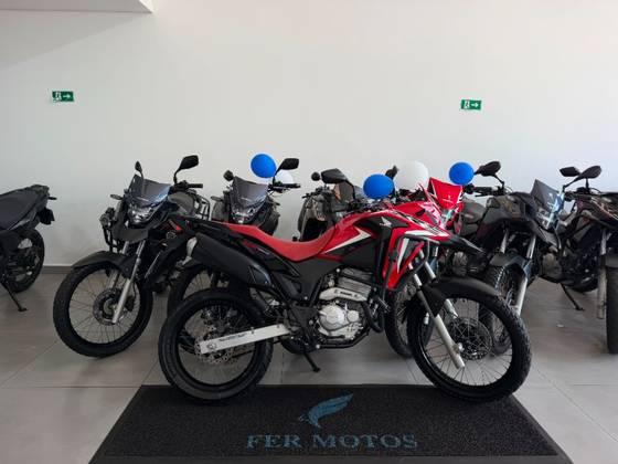 HONDA XRE 300 RALLY 